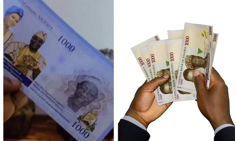 Naira notes, CBN, vouchers