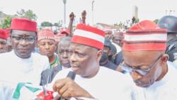 2023 presidency: Kwankwaso dumped as 170,000 NNPP members endorse another candidate