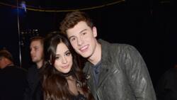 Undoubted details about Shawn Mendes and Camila Cabello's relationship
