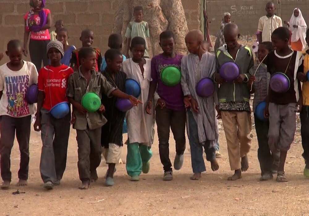 COVID 19: Kano deports over 1,000 Almajiris to their states of origin COVID 19: Kano deports over 1,000 Almajiris to their states of origin