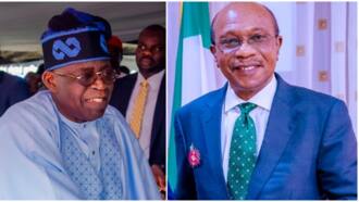 BREAKING: Tinubu, CBN Governor Emefiele in crucial meeting as president resumes work at Aso Rock
