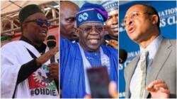 Is Tinubu involved? Pat Utomi shares details of how Peter Obi's campaign was funded