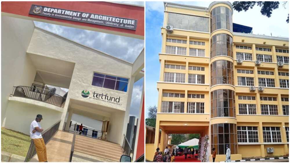 University of Ibadan/UI/School Fees Increment