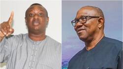 "It's a joke": ObiDatti campaign organisation reacts to call for Peter Obi, Datti's arrest by Festus Keyamo