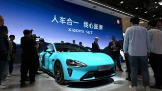China's EV execs bullish on Western pressure at Beijing car show
