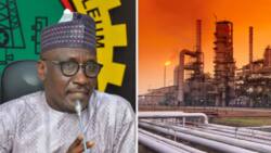 Port Harcourt leads as report shows NNPC spends over N63bn Maintaining Nigeria's 3 Idle refineries