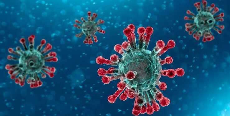 Yanzu-yanzu: Coronavirus ta shiga Adamawa
