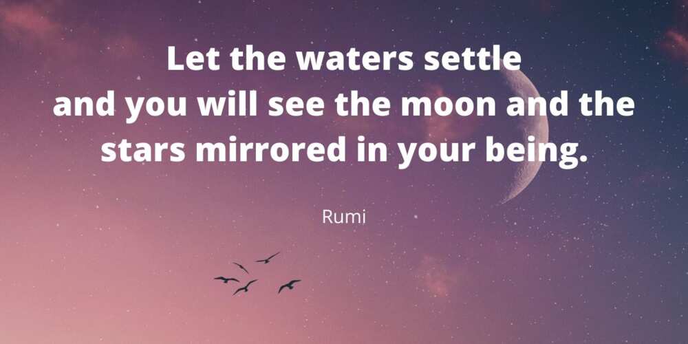 Moon quotes Rumi