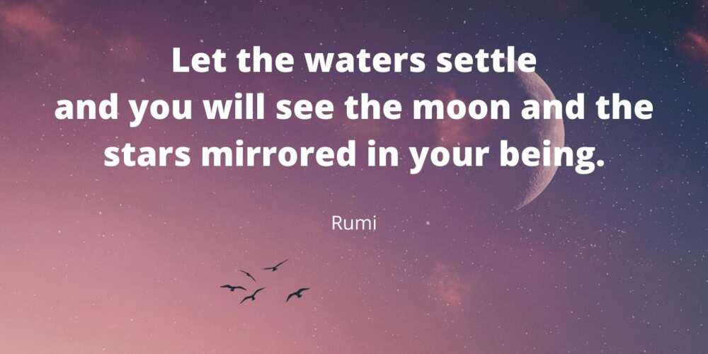 Moon quotes Rumi Moon quotes Rumi