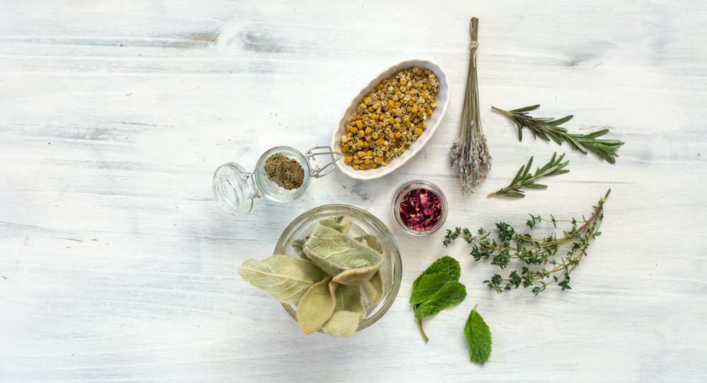 Herbs to become pregnant fast