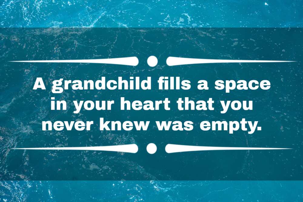 great grandkid quotes