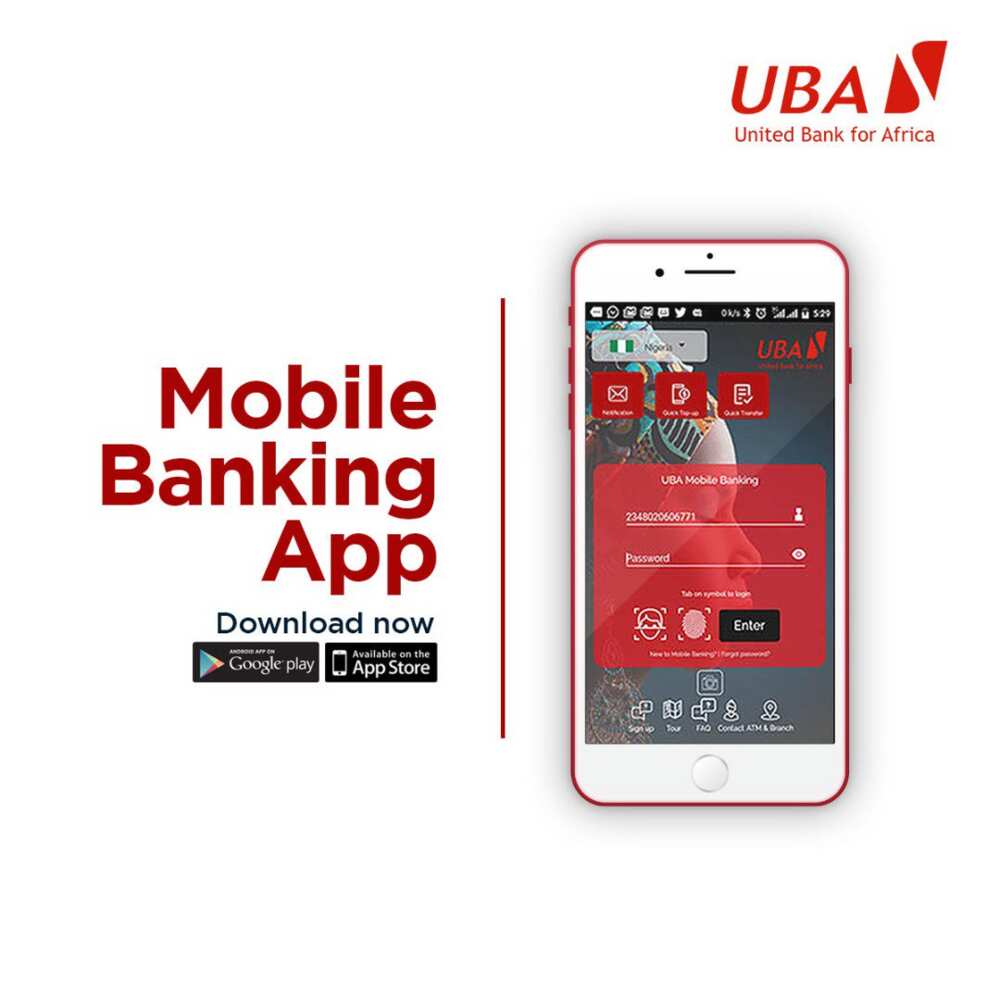 UBA money transfer code to other banks - Legit.ng
