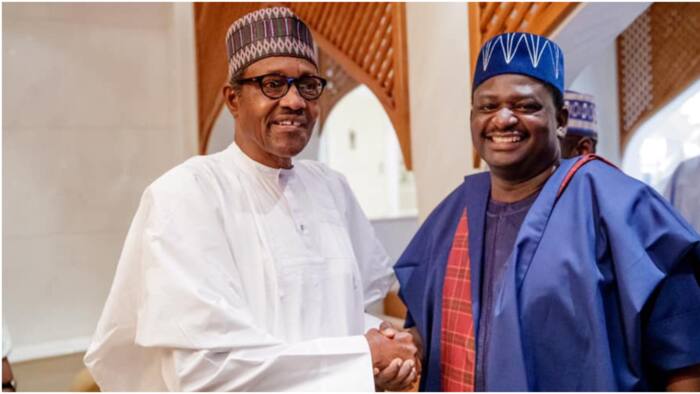 2023 Election: Femi Adesina opens up on why APC chieftains began to suspect Buhari