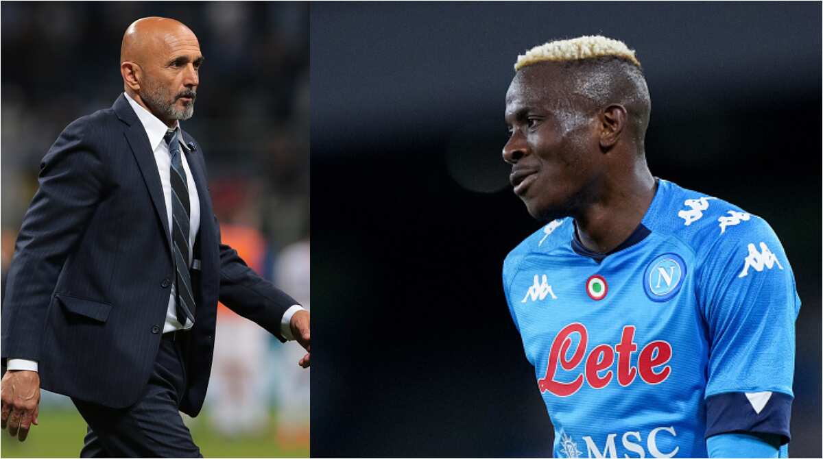 New manager at Italian side Napoli Spalletti Keen to work with Super Eagles striker Osimhen