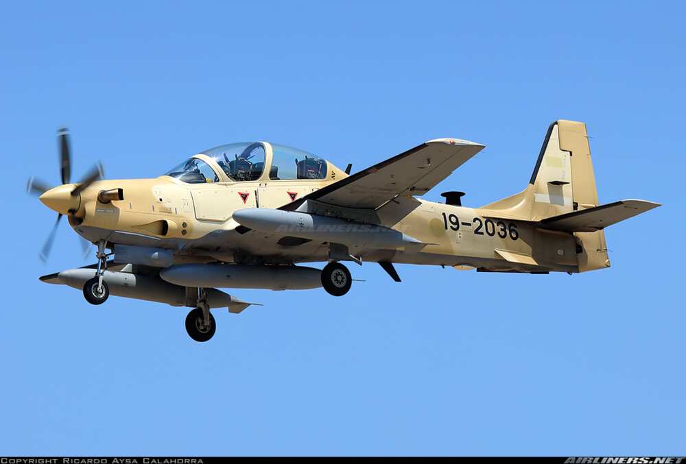 Tucano Tucano