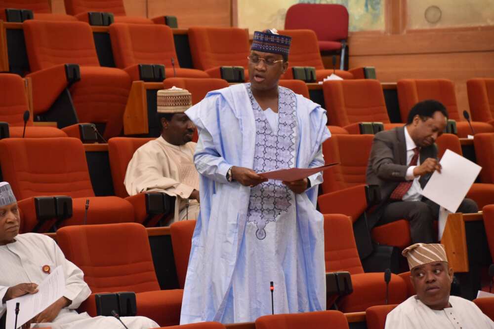 Senator Marafa