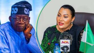 “Apply Now": FG releases application link for presidential grants, loans for businesses, others