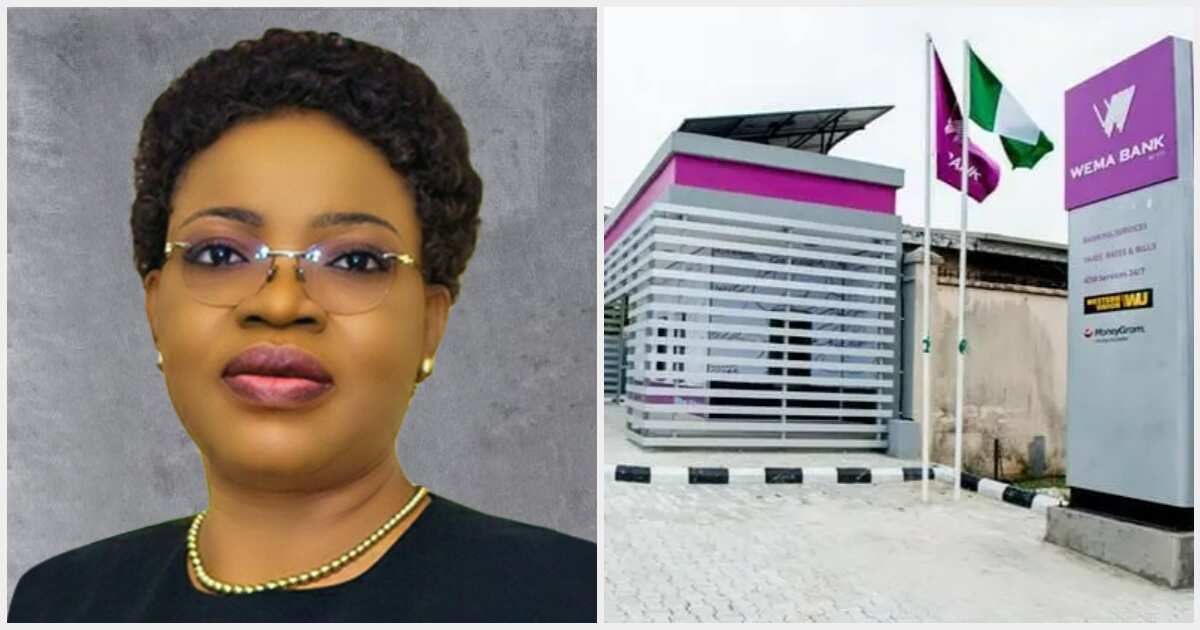 Meet Oluwayemisi Olorunshola, Wema Bank's New Chairman Who Conquered 2 ...