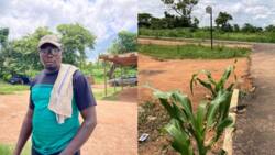 How Osun gov’t violated procurement law in awarding Inisa township road project, crippled livelihood