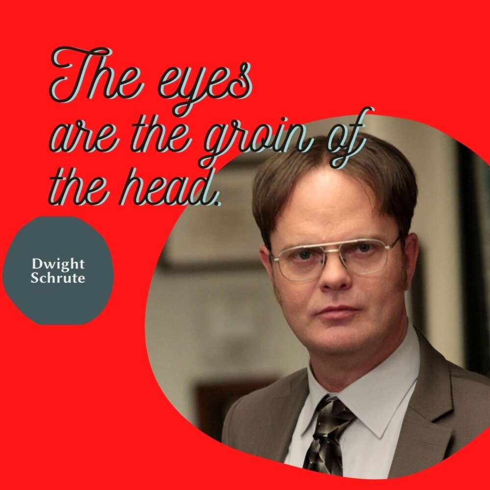 the office dwight funny quotes