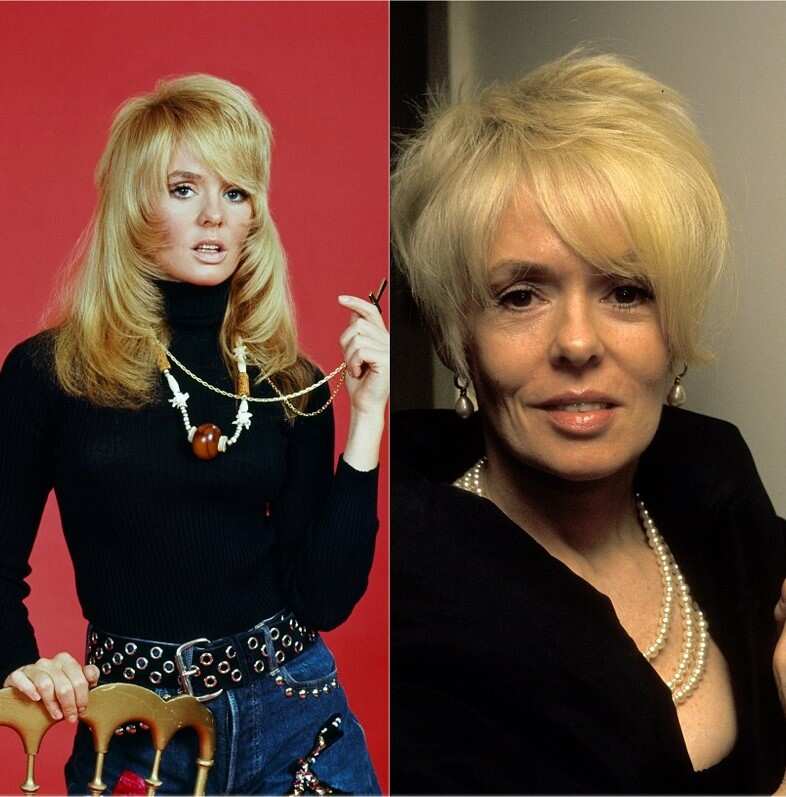 Joey Heatherton now and then