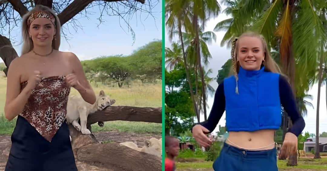 Woman elevates Tshwala Bami challenge, dances fearlessly in front of lions in viral TikTok video