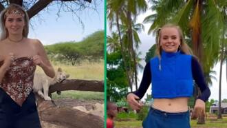 Young woman showcases her impressive dance moves in front of lions in a TikTok video