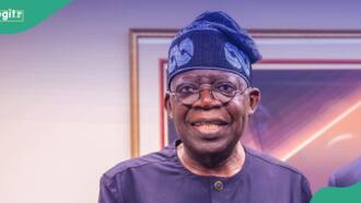BREAKING: Tinubu announces 10 new appointments, full list emerges