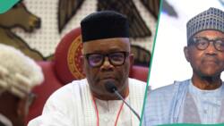 BREAKING: Senate to investigate Buhari over N30 trillion expenditure