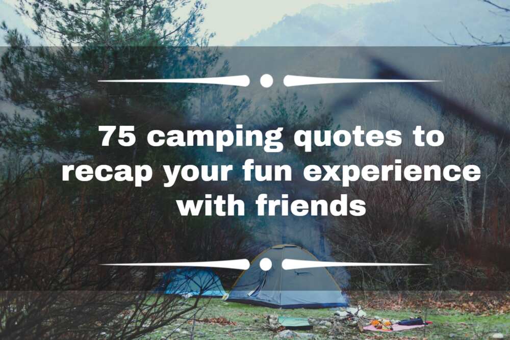 Camping quotes
