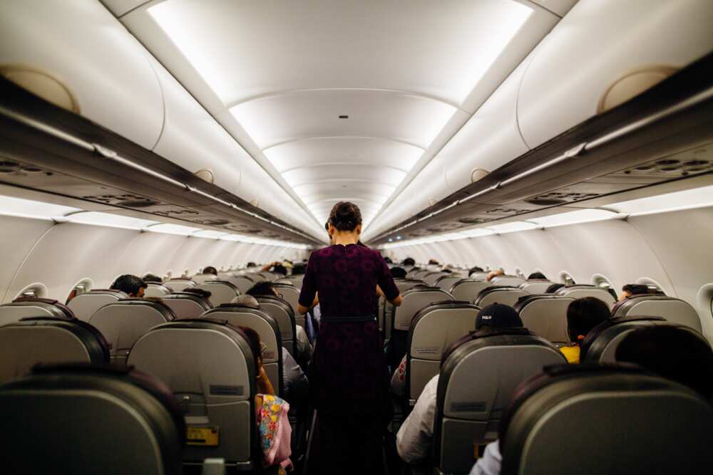 Flight attendant salary Flight attendant salary