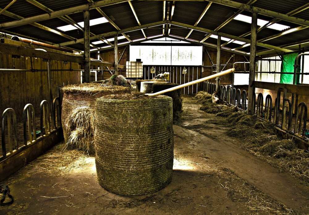 farm-structures-types-uses-definitions-and-main-advantages