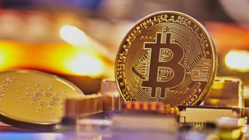 3 exciting tokens for potential massive profits in 2022: Quitriam Finance (QTM), NEAR Protocol (NEAR), & Algorand (ALGO) 3 exciting tokens for potential massive profits in 2022: Quitriam Finance (QTM), NEAR Protocol (NEAR), & Algorand (ALGO)
