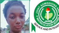 JAMB 2024: Lady narrates her experience with UTME English questions