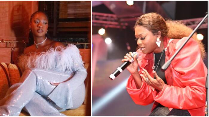 "Check your DM sis": Tems responds hours after Waje begged her for music collaboration on social media