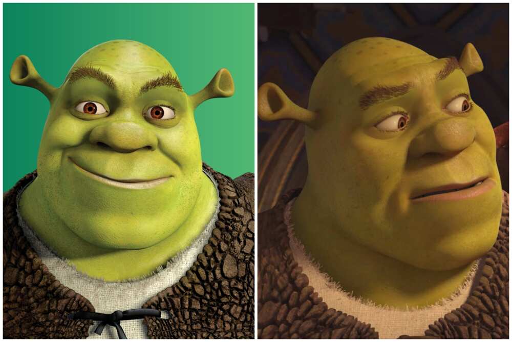 Shrek, Fictional Characters Wiki