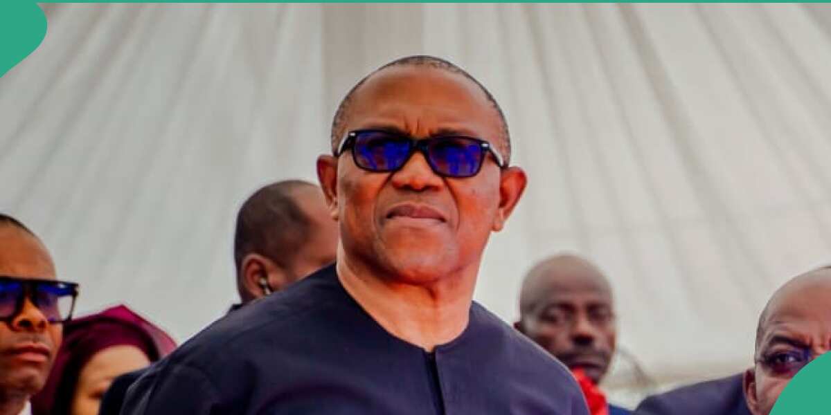 BREAKING: “You Are Frustrated”, Labour Party Attacks Peter Obi, Details ...