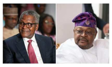 Dangote Makes $575 Million in One Day as Adenuga Loses $2.7 Billion ...