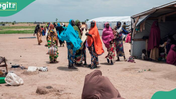 Borno: Gobara ta tashi a sansanin 'yan gudun hijira, an yi asarar rayukan kananan yara