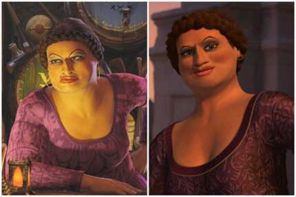 33 iconic Shrek characters every fan of the franchise will remember ...