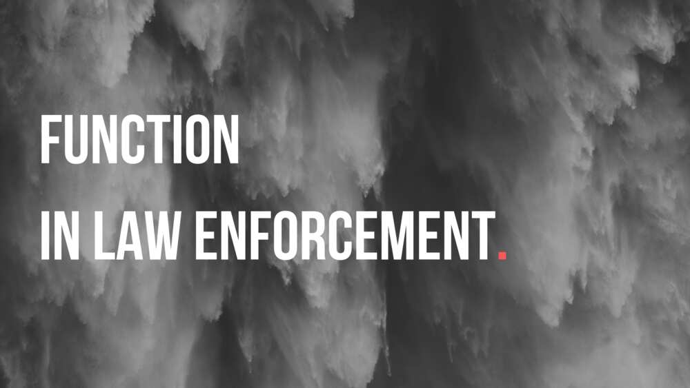 Law enforcement functions of government in a state