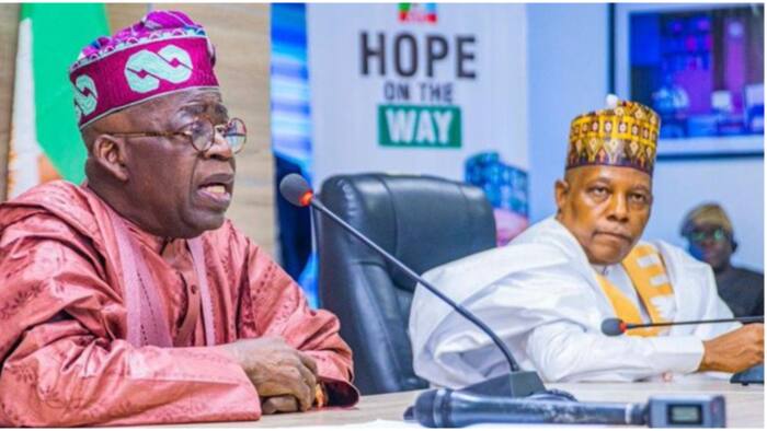 2023: Fresh controversy rocks APC campaign list as Tinubu’s Support Group issues strong statement