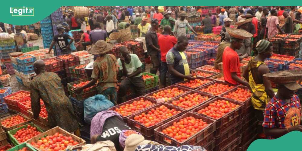Inflation in Nigeria, CBN reacts Inflation in Nigeria, CBN reacts