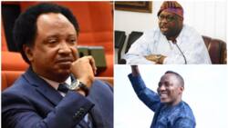 Dele Momodu, Sowore to pay for Nigerian students' NECO, JAMB fees? Shehu Sani speaks