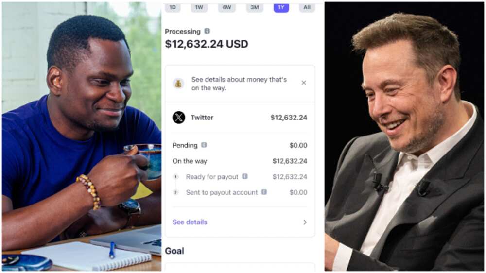 Elon Musk's X/Twitter paid influencer'.