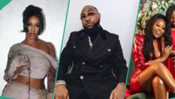 Alleged chats, audios between Davido and Tiwa Savage over Sophia Momodu and Imade leaks