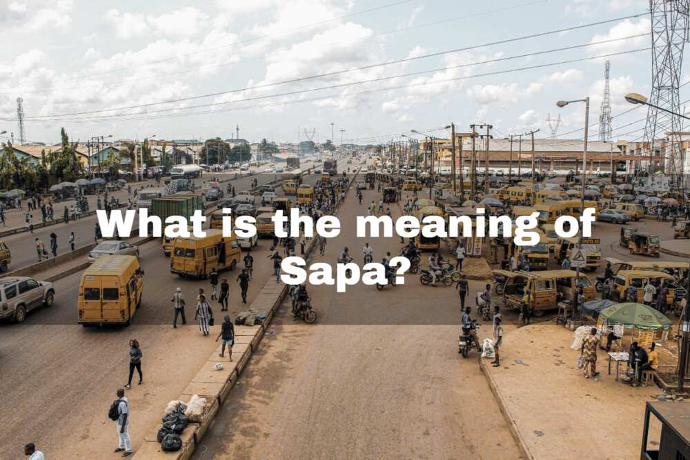 meaning of sapa