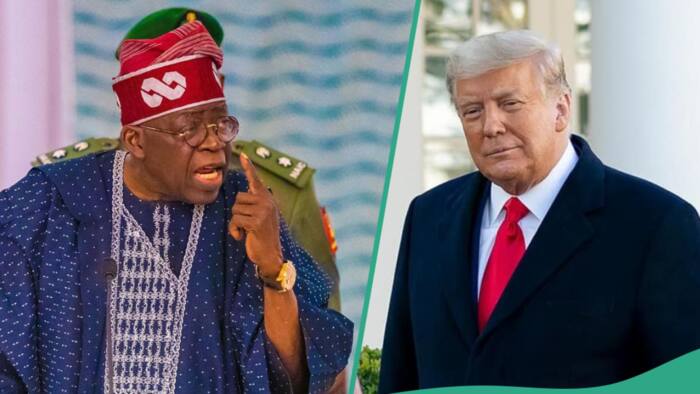 Donald Trump attacked Nigerians for protesting against Tinubu? Fact emerges