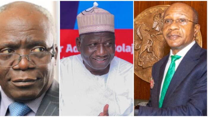 CBN Governor: Prominent Nigerians who asked for Godwin Emefiele to be sacked and why