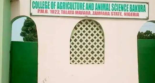 Breaking: School reveals number of students kidnapped from Zamfara college